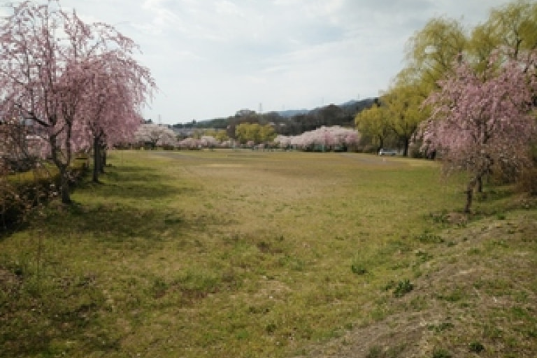 4. 利根川フラワーパークオートキャンプ場（群馬県）