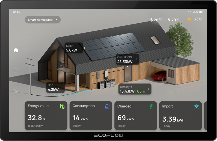 EcoFlow PowerInsight