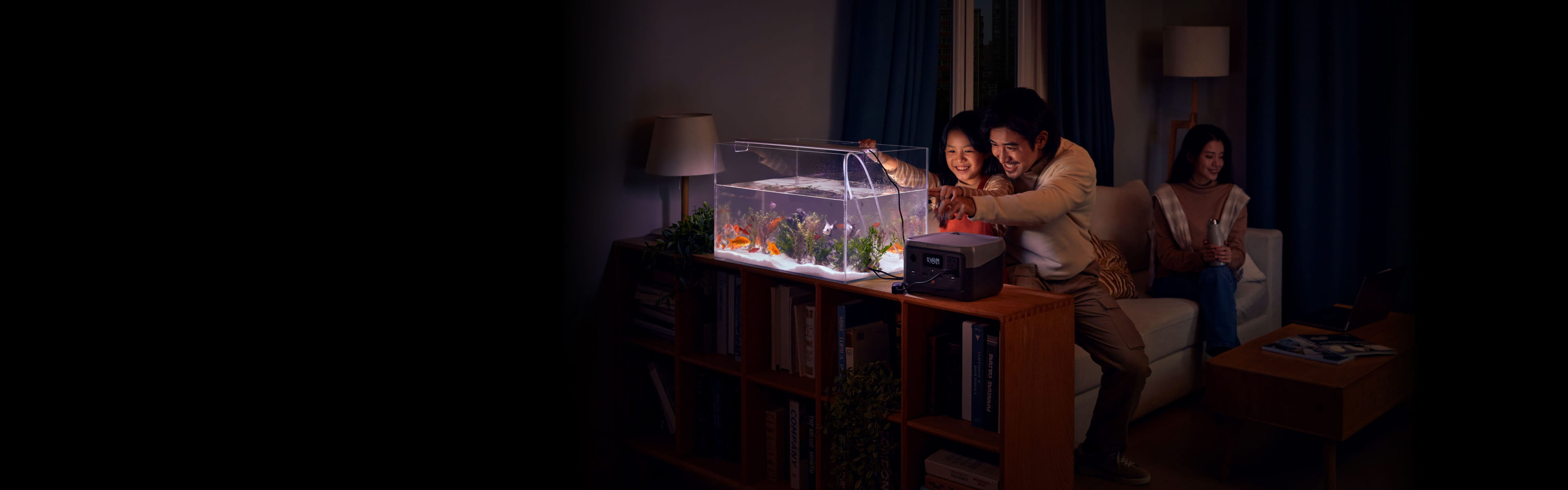 防災はこの一台で始めよう | EcoFlow JP